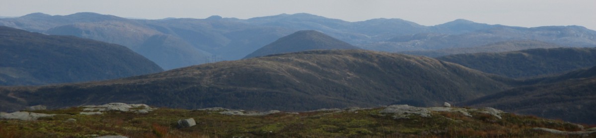 myrandomramblings808